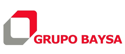 Grupo Baysa