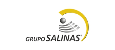 Grupo Salinas